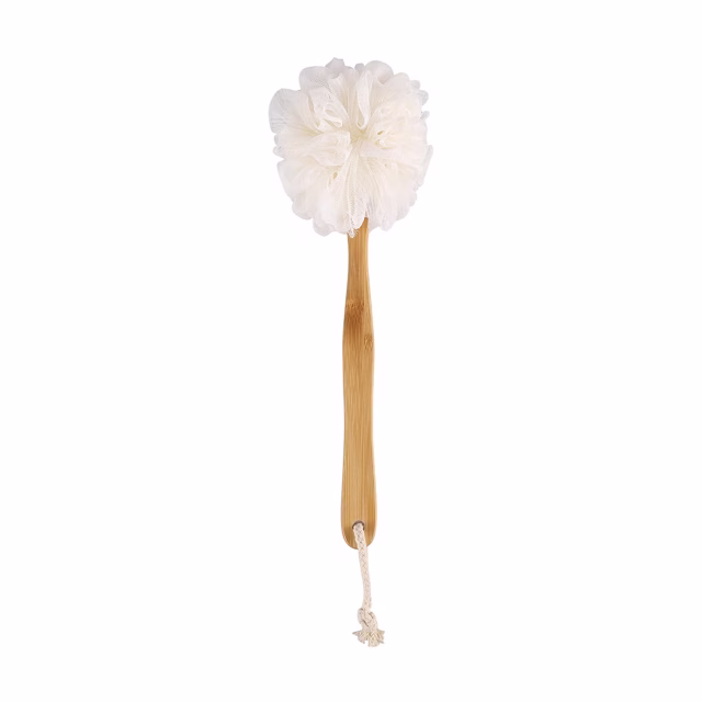 Long handle sponge