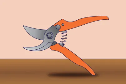secateurs illustration