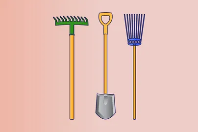 garden tools including rakes and a spade illustration